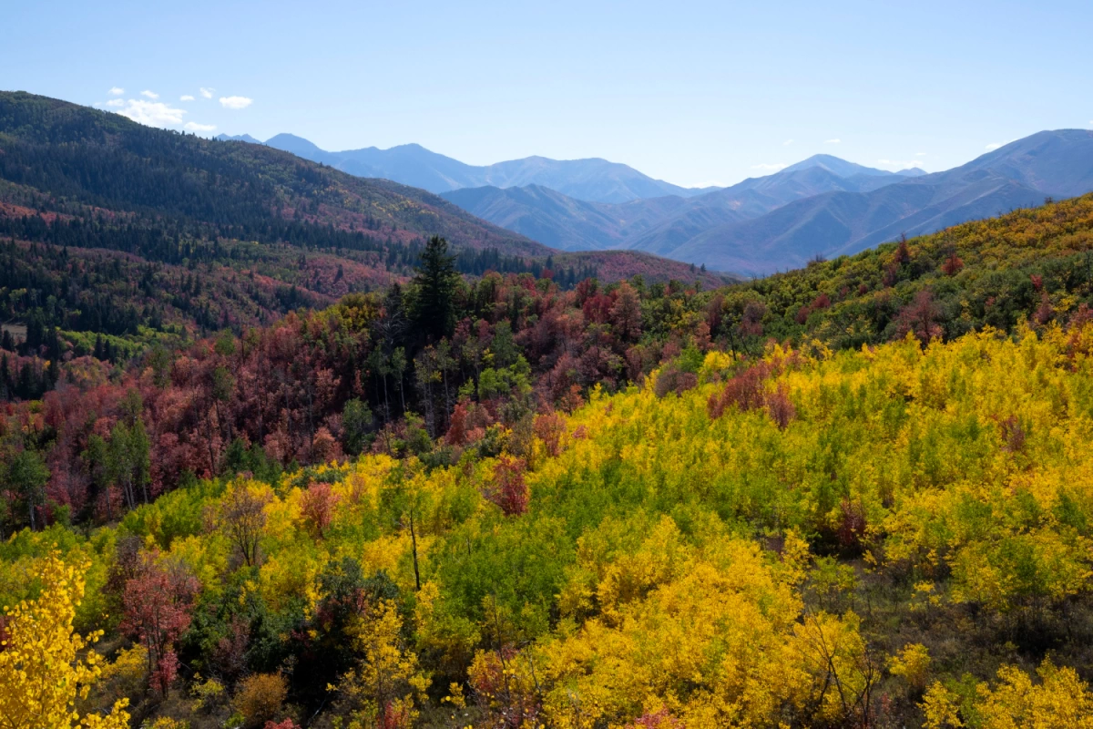 Wydarzenia kulturalne i sportowe w Szczyrku - Wrzesień 2025